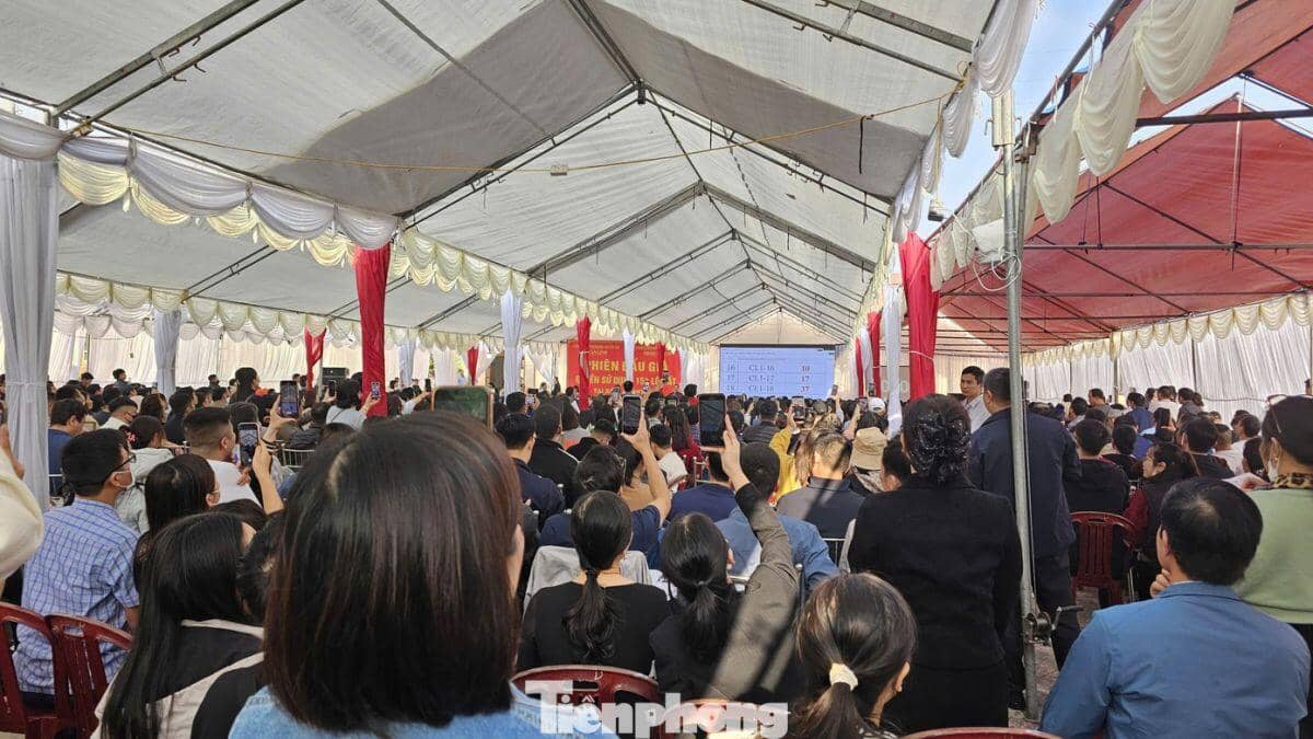 Đấu giá đất vùng quê: Giá 'bị đẩy' lên cao gấp 3 lần giá khởi điểm
