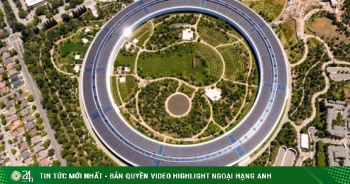 Sóng gió ở Apple: Loạt sếp lớn rời ghế, khủng hoảng nhân sự và khoảng trống AI