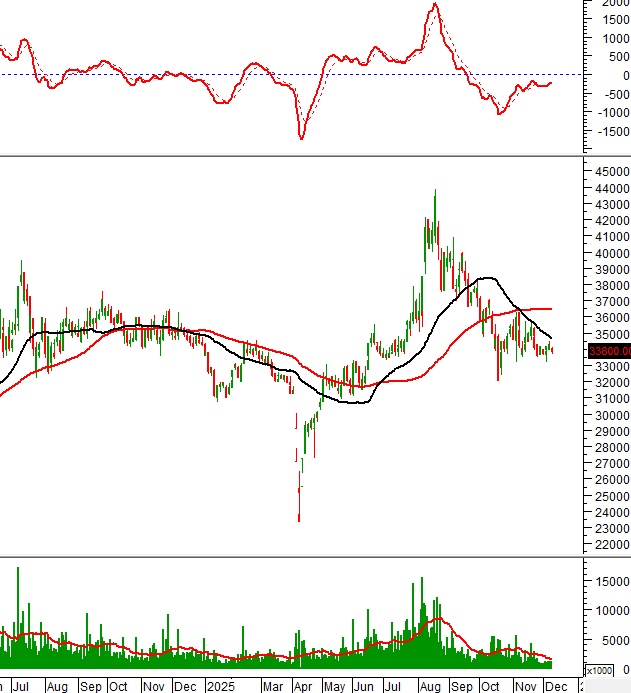Những “ngôi sao” thị trường chứng khoán mà nhà đầu tư không thể bỏ lỡ