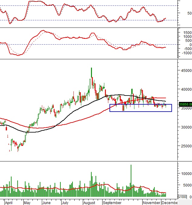 Những “ngôi sao” thị trường chứng khoán mà nhà đầu tư không thể bỏ lỡ