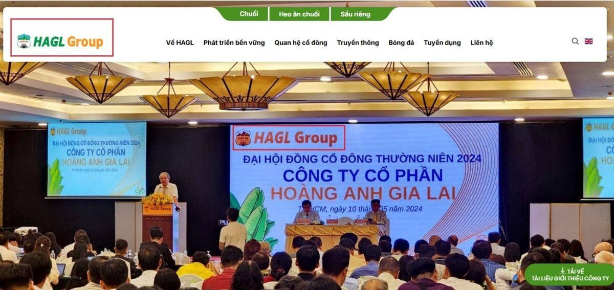 HAGL của Bầu Đức bất ngờ trở lại logo cũ