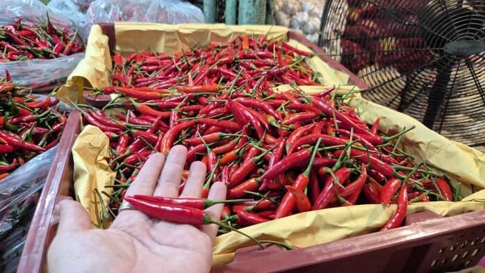 Khó tin: Việt Nam chi hơn 23 triệu USD để nhập khẩu ớt