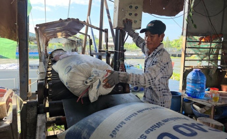 Philippines lập rào cản mới, doanh nghiệp gạo Việt vào thế khó