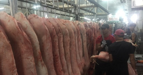 Giá heo hơi hôm nay, 11/12: Diễn biến mới tại chợ đầu mối