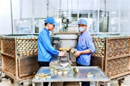 Doanh nghiệp đồ hộp chào bán 1:1 chưa đến nửa thị giá, lấy vốn xây nhà máy mới 166 tỷ