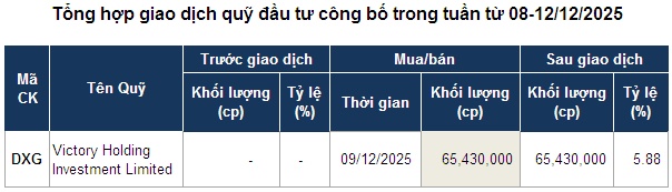 Giao dịch quỹ đầu tư: Lực mua đơn lẻ nhưng đầy sức nặng