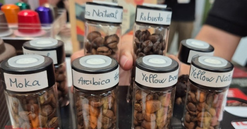 Giá cà phê hôm nay 15-12: Rớt liên tục, ông trùm cà phê nói gì?