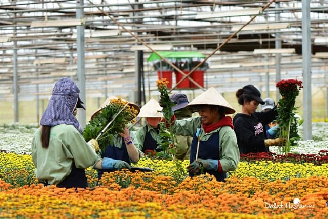 Top thương vụ M&A nổi bật 2025: Tiền ngoại phủ sóng
