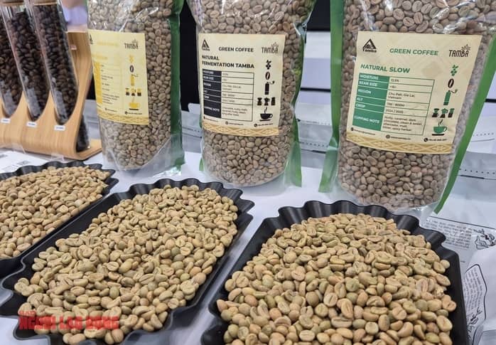 Giá cà phê hôm nay 16-12: Thủng mốc quan trọng, Đức chi hơn 1 tỉ USD nhập cà phê Việt