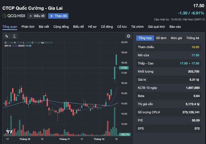 Cổ phiếu Quốc Cường Gia Lai bị bán tháo sau khi bà Nguyễn Thị Như Loan bị đề nghị truy tố