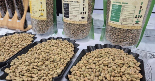Giá cà phê hôm nay 16-12: Thủng mốc quan trọng, Đức chi hơn 1 tỉ USD nhập cà phê Việt