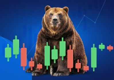 Những cổ phiếu bị lãng quên