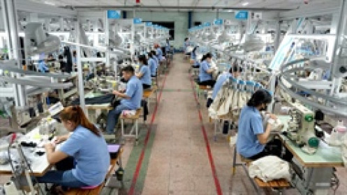 TCM lãi tháng 11 nhích nhẹ, chốt quyền cổ tức tiền mặt 5%