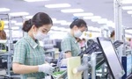 Thủ tướng nói về thành công xuất khẩu khi Mỹ áp thuế đối ứng
