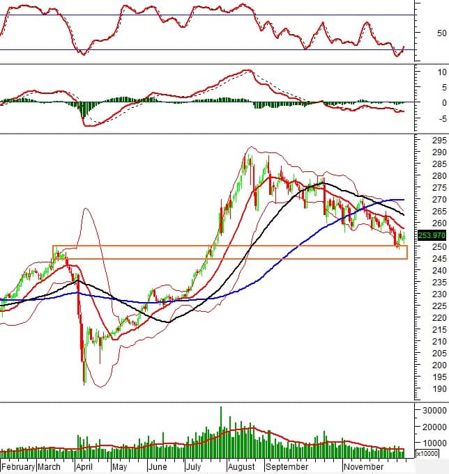 Vietstock Weekly 22-26/12/2025: Nhịp hồi có đủ vững?