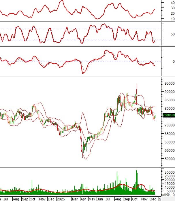 Loạt cổ phiếu phát tín hiệu mua mạnh: GEX, HPG, STB, PLX vào “tầm ngắm”