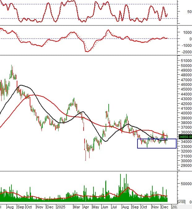 Loạt cổ phiếu phát tín hiệu mua mạnh: GEX, HPG, STB, PLX vào “tầm ngắm”