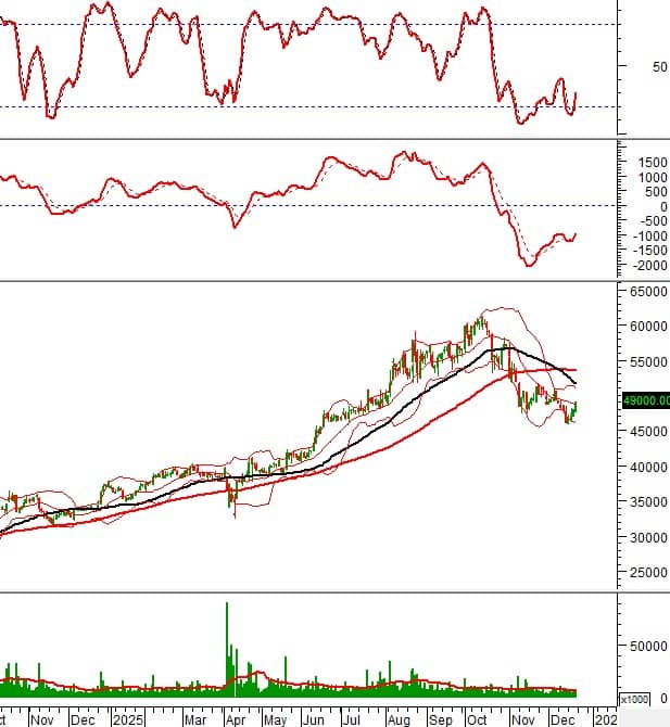 Loạt cổ phiếu phát tín hiệu mua mạnh: GEX, HPG, STB, PLX vào “tầm ngắm”