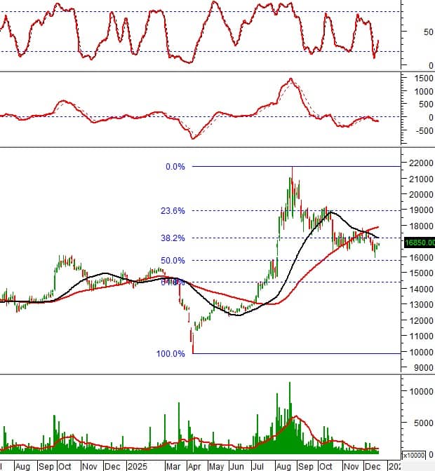 Loạt cổ phiếu phát tín hiệu mua mạnh: GEX, HPG, STB, PLX vào “tầm ngắm”
