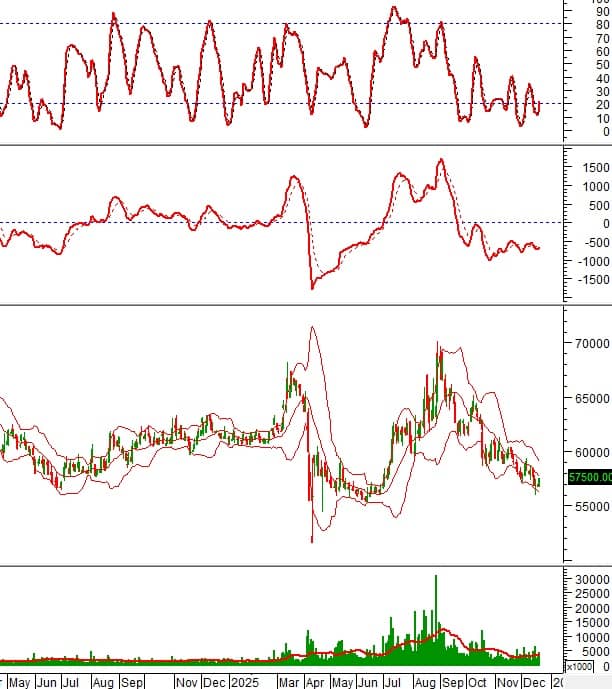 Loạt cổ phiếu phát tín hiệu mua mạnh: GEX, HPG, STB, PLX vào “tầm ngắm”