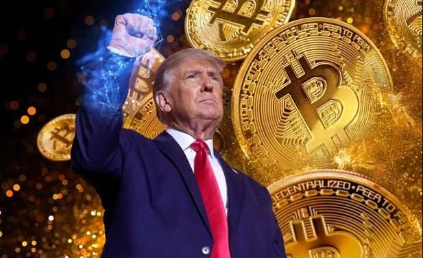 Năm sóng gió của thị trường tiền ảo