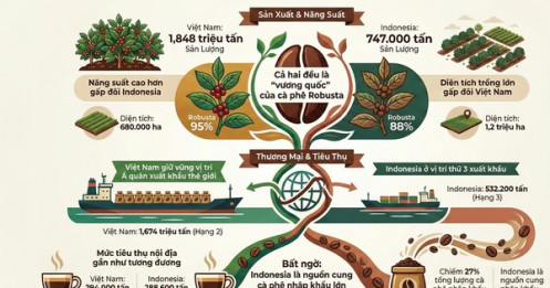 Giá cà phê hôm nay 22-12: Điều bất ngờ từ đối thủ cà phê Indonesia