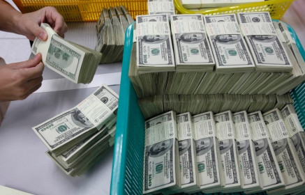 USD mất 10%, xuống thấp nhất hơn 20 năm