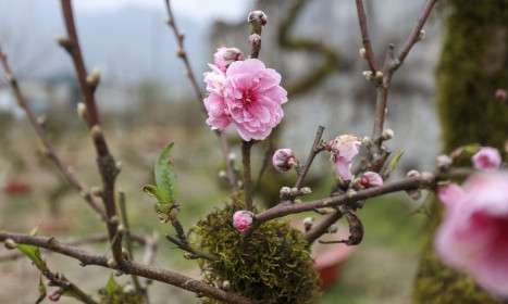 Ban Bí thư cấm dùng công quỹ tặng quà Tết lãnh đạo