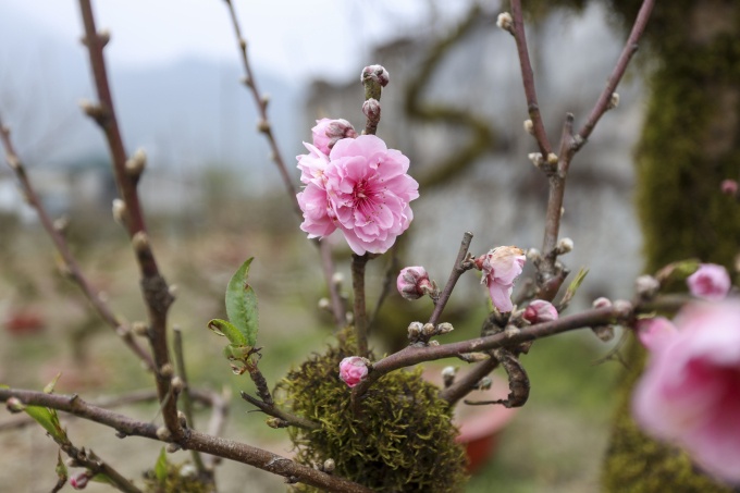 Ban Bí thư cấm dùng công quỹ tặng quà Tết lãnh đạo
