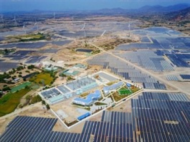 Trái phiếu Trung Nam trở lại