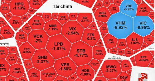 Chuyên gia lý giải VN-Index bất ngờ lao dốc gần 40 điểm chỉ trong 15 phút