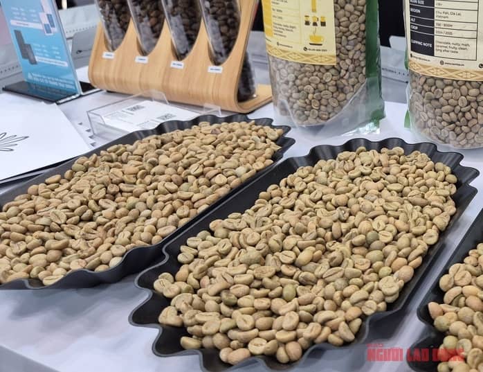Giá cà phê hôm nay 26 - 12 tăng mạnh, Trung Quốc mua cà phê Việt Nam ồ ạt