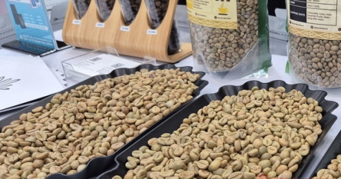 Giá cà phê hôm nay 26 - 12 tăng mạnh, Trung Quốc mua cà phê Việt Nam ồ ạt