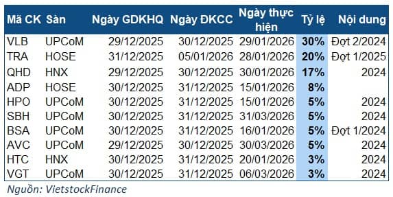 Tuần cuối 2025: Cổ tức cao nhất 30%