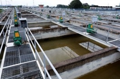Mối quan hệ giữa 3 công ty cấp thoát nước SII chuẩn bị mua cổ phần