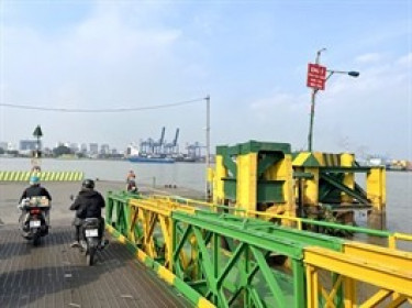 CC1 lập 2 công ty làm cầu Cát Lái và Đồng Nai 2 tổng vốn gần 30 ngàn tỷ