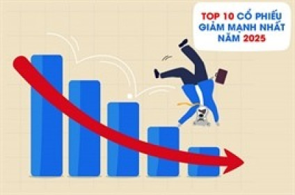 Top cổ phiếu giảm mạnh nhất năm 2025