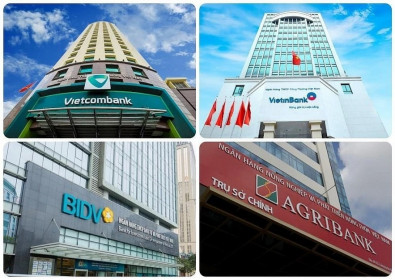 Hé lộ việc kinh doanh của nhóm Big4