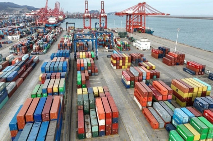 Tin mới nhất về gần 500 container chè Việt Nam ách tắc tại Pakistan