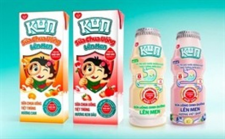 IDP lỗ sâu vẫn chia cổ tức tiền mặt tới 75%