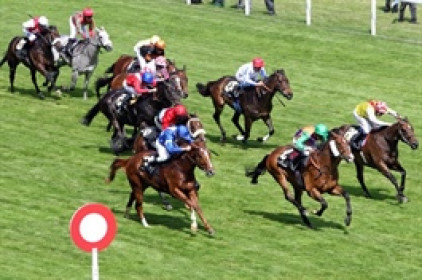 Thị phần môi giới HOSE năm 2025: Top 1 hụt hơi, nhóm bám đuổi tăng tốc