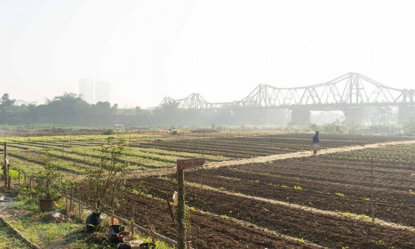 Chất lượng không khí Hà Nội trở lại mức rất xấu