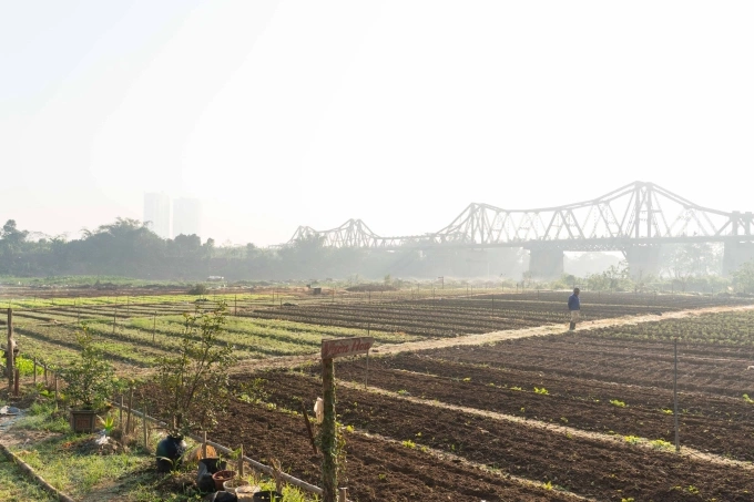 Chất lượng không khí Hà Nội trở lại mức rất xấu