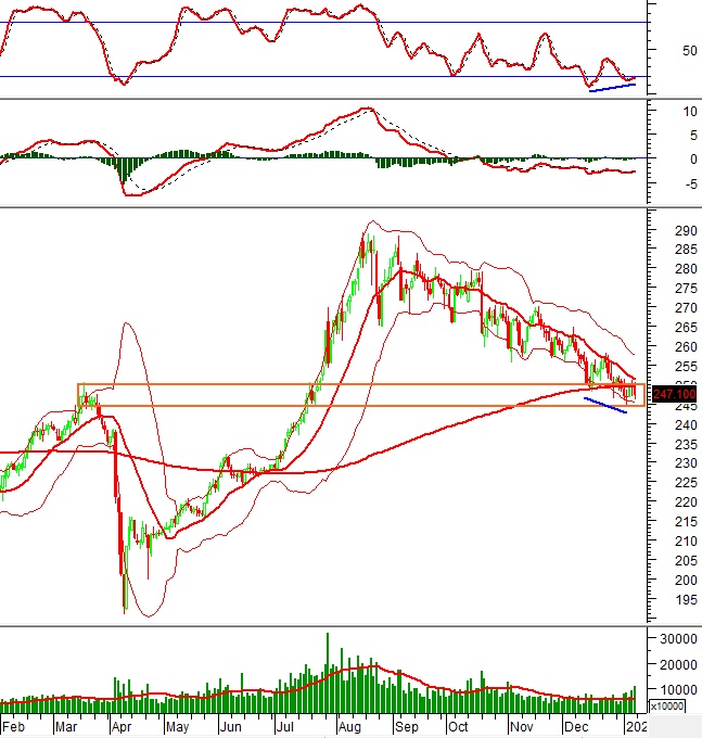 Phân tích kỹ thuật chứng khoán Việt Nam: Tuần 12-16/01/2026