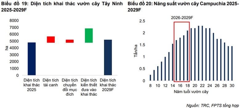 Có nên mua MSR, TRC và TCM?
