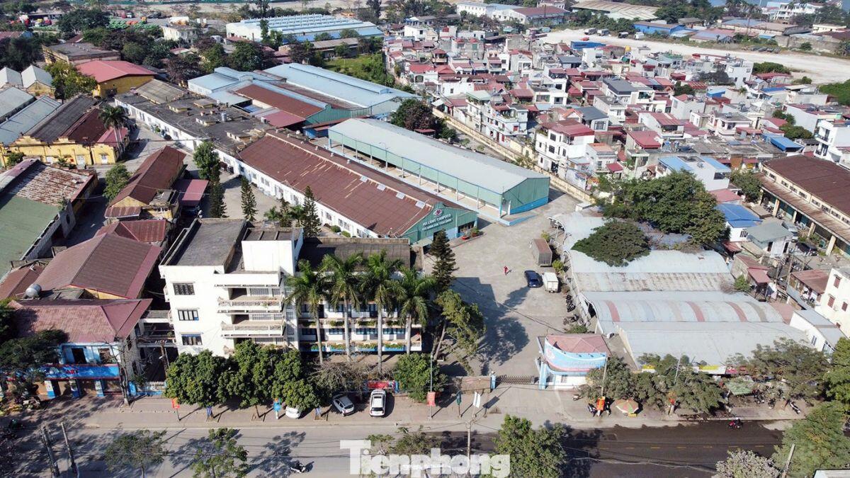 Vụ patê 'dính' thịt bệnh: Tình trạng nhà máy Đồ hộp Hạ Long hiện nay