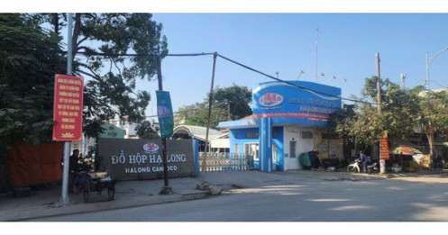 Kiểm tra Công ty Đồ hộp Hạ Long, 3 năm không phát hiện sai phạm