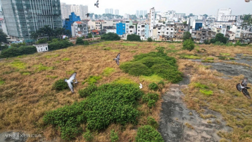 TP HCM tổng rà soát đất công bỏ trống làm vườn hoa, công viên