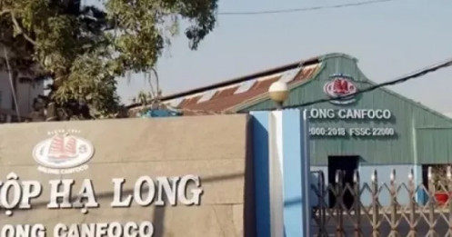 Lật giở quá trình phát hiện Công ty Đồ hộp Hạ Long làm patê bằng thịt lợn bệnh