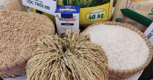 Gạo Lộc Trời bổ nhiệm tổng giám đốc mới